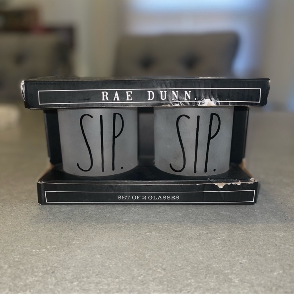 Set of 2 Rae Dunn Frosted Glasses